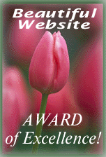 Beautiful Website Award Of Excellence - Visit and enjoy yourself